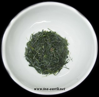 Sencha  Iwase, 2008