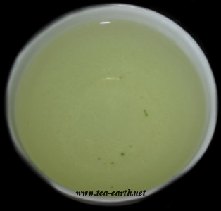 Sencha  Iwase, 2008