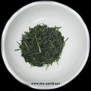 Sencha Inaguchi, 2008