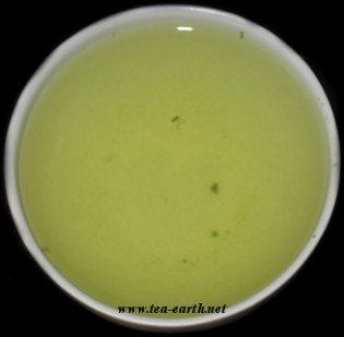 Sencha Inaguchi, 2008