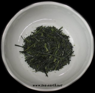 Sencha Tsuyuhikari, 2008