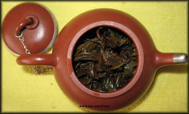 Meghma Oolong, Nepl 2010